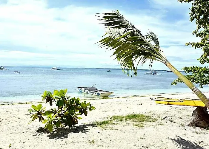 Hotel Malapatel Daanbantayan